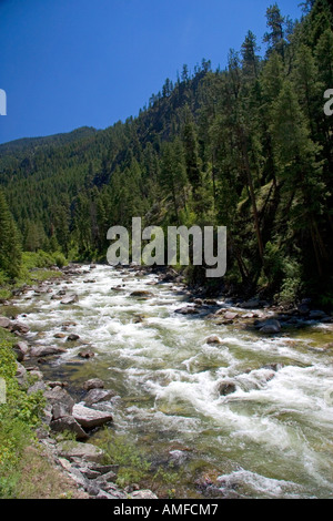 La fourche est de la fourche sud de la rivière Salmon près de Yellow Pine, Idaho. Banque D'Images