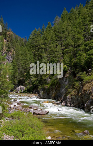 La fourche est de la fourche sud de la rivière Salmon près de Yellow Pine, Idaho. Banque D'Images