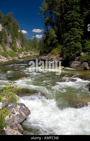 La fourche est de la fourche sud de la rivière Salmon près de Yellow Pine, Idaho. Banque D'Images