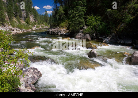 La fourche est de la fourche sud de la rivière Salmon près de Yellow Pine, Idaho. Banque D'Images