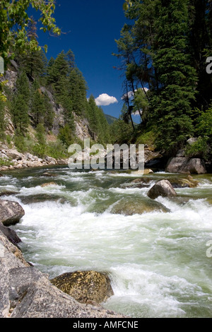 La fourche est de la fourche sud de la rivière Salmon près de Yellow Pine, Idaho. Banque D'Images