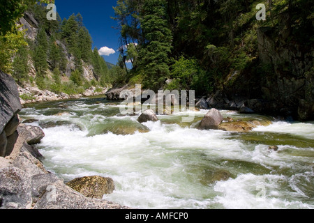 La fourche est de la fourche sud de la rivière Salmon près de Yellow Pine, Idaho. Banque D'Images