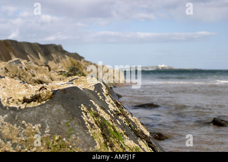 Photo de paysage de marée contre des roches avec les balanes attaché montrant bleu ciel et les îles Farne en arrière-plan Banque D'Images