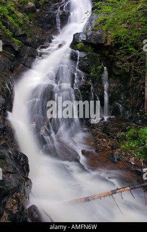 Macintosh Brook Falls dans la chaîne de montagnes du nord le long de la Piste Cabot, île du Cap-Breton, Nouvelle-Écosse, Canada. Banque D'Images