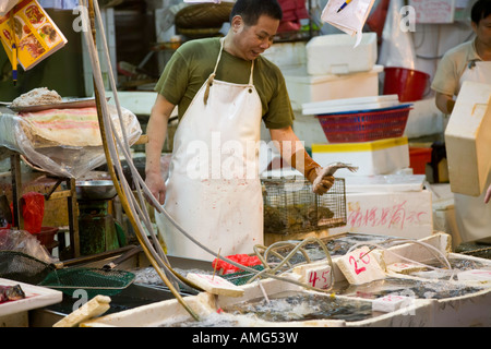 Un poissonnier vérifie son produire dans Wan Chai Hong Kong marché Banque D'Images