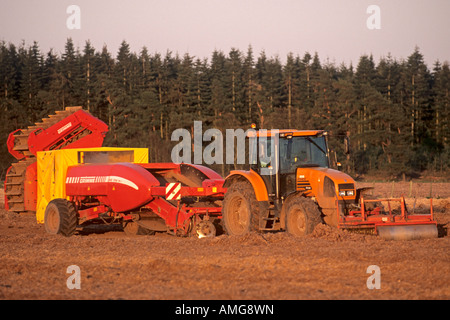 Des méthodes d'agriculture industrielle région frontière England UK Banque D'Images