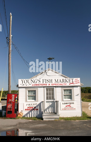 Septembre 2007 Cape Cod Banque D'Images