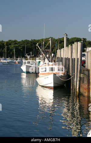 Septembre 2007 Cape Cod Banque D'Images