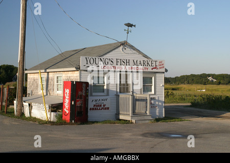 Septembre 2007 Cape Cod Banque D'Images