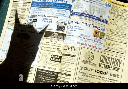 L'ombre d'un chat siamois sur la section de chirurgie vétérinaire les Pages Jaunes Banque D'Images