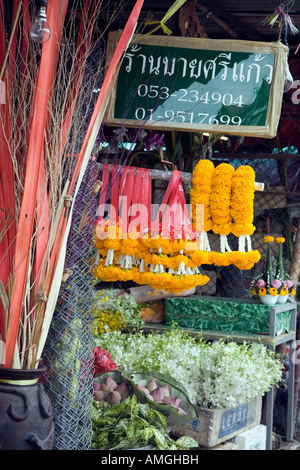 Le marché aux fleurs à Chiang Mai (Thaïlande). Banque D'Images