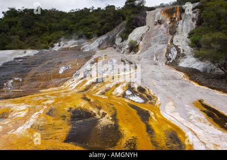 Au-dessus des algues thermales terrasses émeraude et Saphir ci-dessous à Geyser, près de l'Orakei Korako Taupo, île du Nord, en Nouvelle-Zélande. Banque D'Images