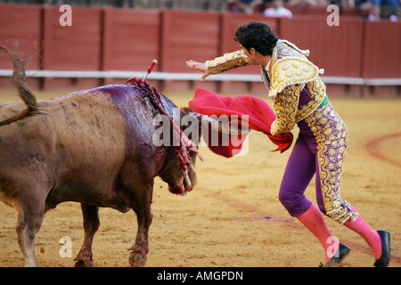 Séquence montrant comment un torero effectue le poignardant ou estocada à tuer le taureau. Banque D'Images