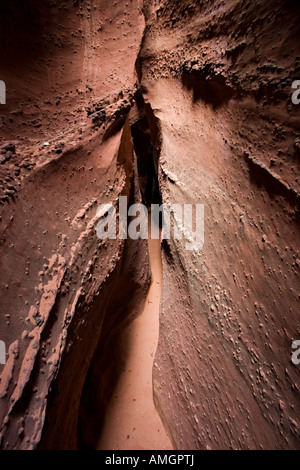 En grès narrows Spooky Gulch près de Escalante National Monument Grand Escalier en Utah USA Banque D'Images