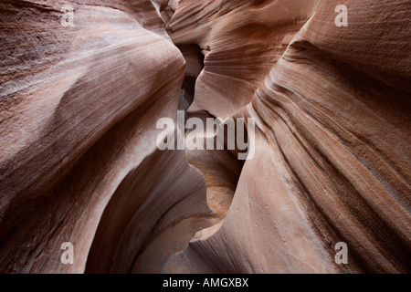 En grès narrows Peek a Boo slot canyon près de Escalante National Monument Grand Escalier en Utah USA Banque D'Images