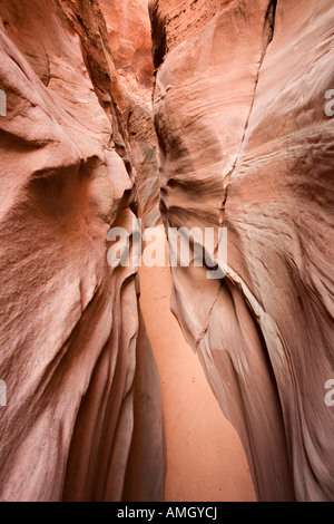 En grès narrows Spooky Gulch près de Escalante National Monument Grand Escalier en Utah USA Banque D'Images