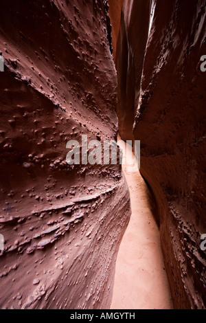 En grès narrows Spooky Gulch près de Escalante National Monument Grand Escalier en Utah USA Banque D'Images