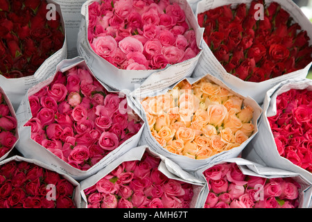 Bouquets de fleurs à vendre à la tonne de Lamai ou Tonlamyai le principal marché de Chiang Mai Thaïlande marché aux fleurs Banque D'Images