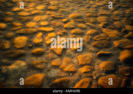 Plan de rue pavée, reflétant le soleil, Oaxaca, Mexique Banque D'Images