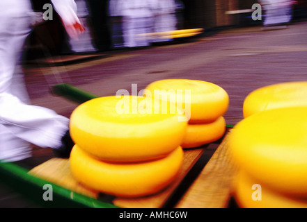 Porteurs d'exécution avec tours de gouda au marché au fromage d'Alkmaar Banque D'Images