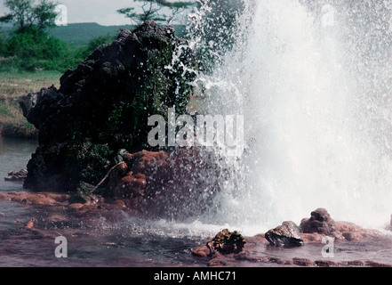 Sources chaudes de l'eau bouillante et des jets de vapeur au lac Bogoria dans la vallée du Grand Rift au Kenya Banque D'Images