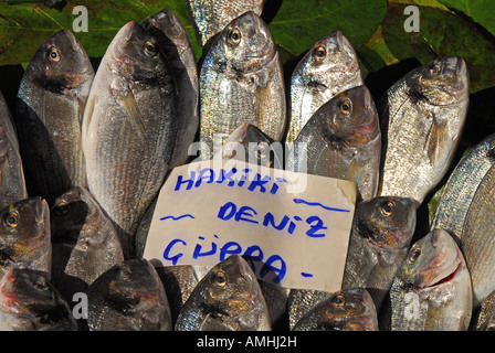 ISTANBUL, TURQUIE. Pour la vente de poisson frais du marché aux poissons (balikcisi) dans la région de Karakoy, Beyoglu, par le pont de Galata. Banque D'Images