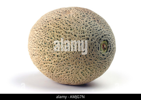 Melone cantaloup Cucumis melo cantalupensis var origine Honduras Banque D'Images