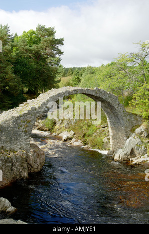 Vieux pont de pierre sur pierre cheval River Boat of Garten à Carrbridge près de Aviemore. Des hautes terres, en Écosse. Banque D'Images