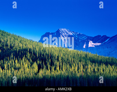 La région de Kananaskis, parc provincial Peter Lougheed, l'Alberta, Canada Banque D'Images