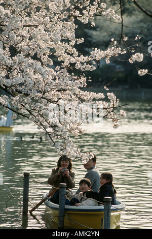 Tokyo Japon Hanami à Ueno Park les habitants participent en grand nombre d'admirer les cerisiers en fleurs au printemps Banque D'Images