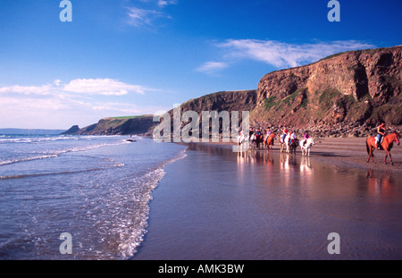 Chevaux sur Druidston Haven Banque D'Images