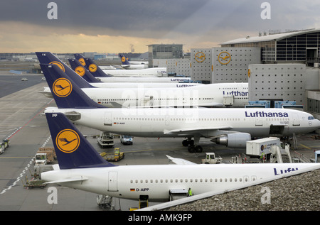 Les avions de la Lufthansa à l'aéroport de Francfort sur le Main, Allemagne Banque D'Images