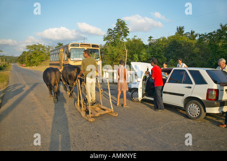 L'homme avec deux bœufs tirant sled passé décomposé en voiture Fiat la Valle de Vinales au centre de Cuba Banque D'Images