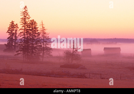 Les bâtiments au coucher du soleil, de l'Alberta, Canada Banque D'Images