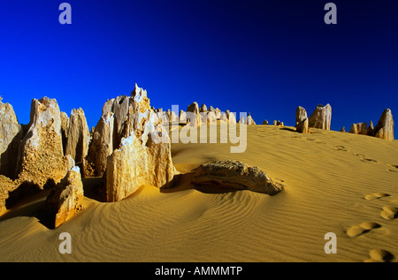 Le Cervantes Pinnacles National Park Australie Occidentale Banque D'Images