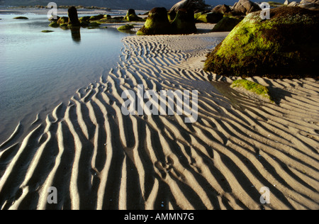 La plage de Carnota La Corogne Galice province nord-ouest de l'Espagne Banque D'Images