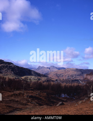 Le LangdalePikes Pike de Stickle Harrison Stickle Pavey Ark de Holme est tombé Lake District Cumbria England Banque D'Images