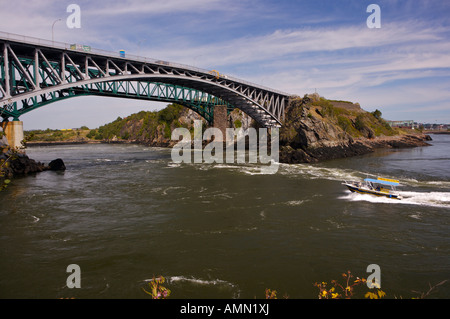 Bateau à réaction guidée de la Reversing Falls le long de la rivière Saint-Jean à Saint John, dans la baie de Fundy, Nouveau-Brunswick, Canada. Banque D'Images