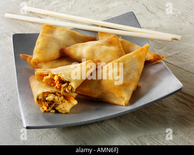 Samosas aux légumes et poulet Banque D'Images