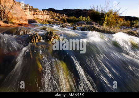 Un ruisseau de montagne à la Cedarberg Banque D'Images