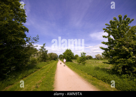 Vues de la Voie verte piste cyclable et sentier de la ligne de chemin de fer désaffectée de long marston à Stratford upon Avon Le Warwickshire Banque D'Images