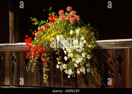 Boîte à fleurs sur un chalet Suisse traditionnel en bois. Banque D'Images