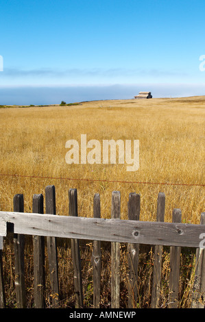 Vieille Grange en champ, Sonoma Coast, Californie, USA Banque D'Images