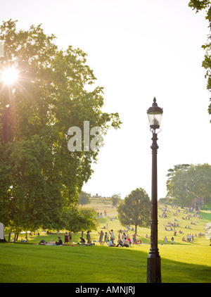 Primrose Hill, Londres, Angleterre Banque D'Images