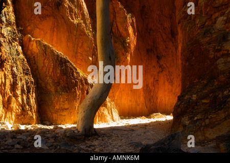 Standley Chasm, West MacDonnell National Park, Territoire du Nord Australie Banque D'Images