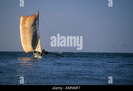 Oruvas bateau naviguant le long de la côte à Negombo Banque D'Images