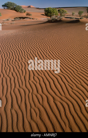 Motif dans le sable du désert, Namibie Banque D'Images