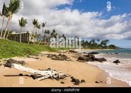 Plage de Wailea, Maui, Hawaii, USA Banque D'Images