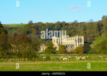 Vue sur l'abbaye, à travers les champs.English site du patrimoine mondial. L'abbaye de Rievaulx, North Yorkshire, Angleterre Parc National Banque D'Images