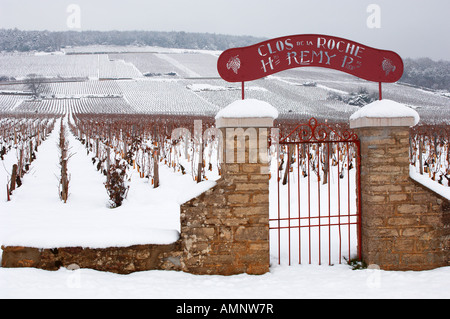 Clos de la Roche, Henry Remy's vineyard gate avec snow Chambertin, Clos de vin, Cote d'or, Bourgogne, France Banque D'Images